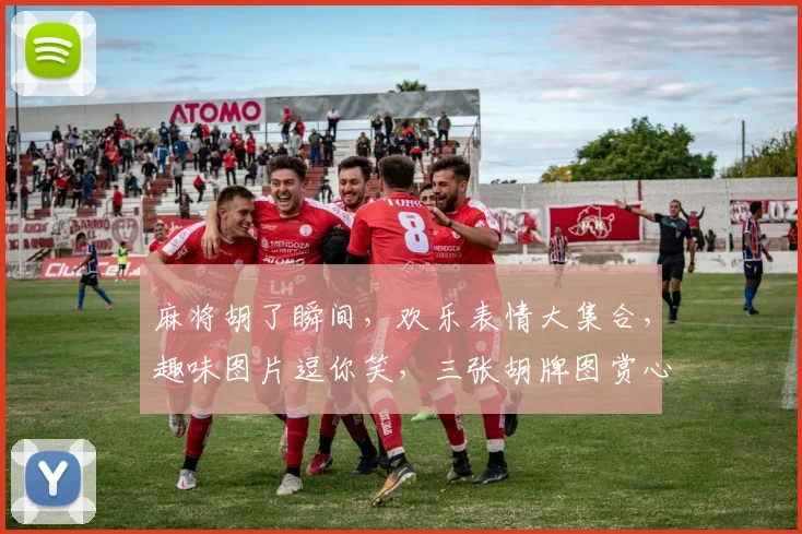 麻将胡了瞬间，欢乐表情大集合，趣味图片逗你笑，三张胡牌图赏心悦目