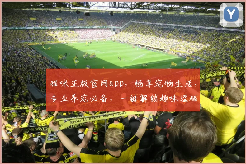 猫咪正版官网app，畅享宠物生活，专业养宠必备，一键解锁趣味逗猫时光，领养领养更健康