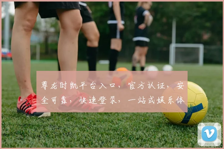 尊龙时凯平台入口，官方认证，安全可靠，快速登录，一站式娱乐体验，不容错过