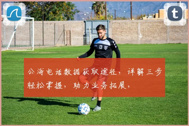 公海电话数据获取途径，详解三步轻松掌握，助力业务拓展，