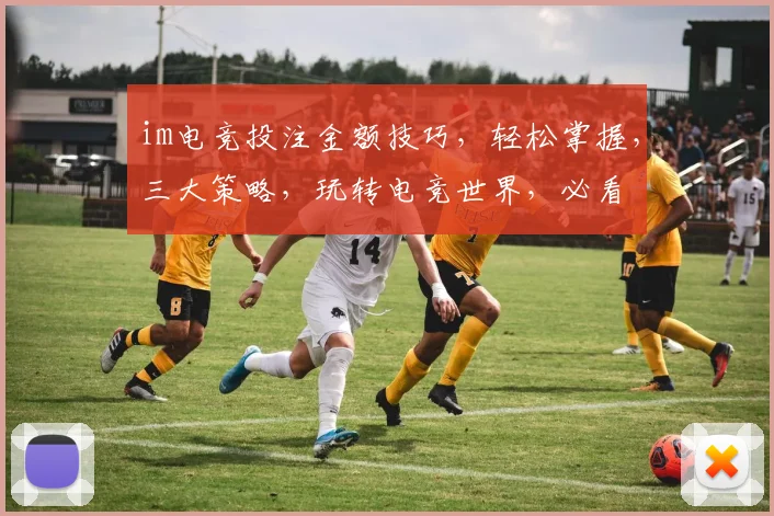 im电竞投注金额技巧，轻松掌握，三大策略，玩转电竞世界，必看
